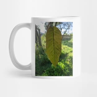 The Light that Passes Through You Mug